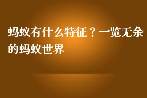 蚂蚁有什么特征？一览无余的蚂蚁世界_https://cj002.lansai.wang_会计问答_第1张