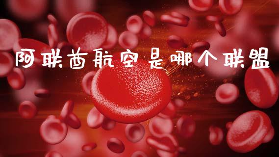 阿联酋航空是哪个联盟_https://cj002.lansai.wang_财经百问_第1张
