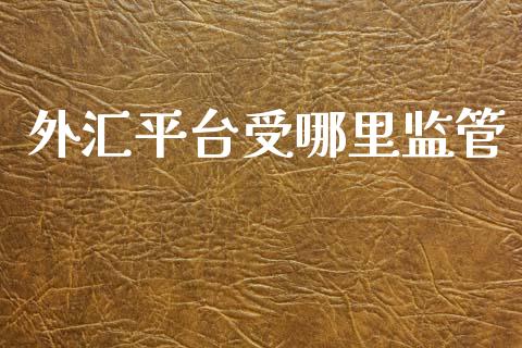 外汇平台受哪里监管_https://cj002.lansai.wang_财经问答_第1张