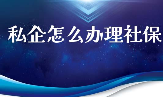 私企怎么办理社保_https://cj002.lansai.wang_保险问答_第1张