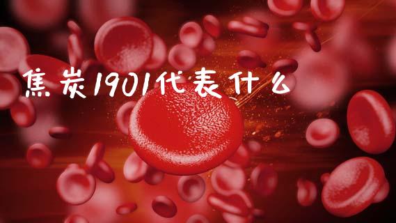 焦炭1901代表什么_https://cj002.lansai.wang_期货问答_第1张