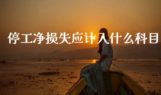 停工净损失应计入什么科目_https://cj002.lansai.wang_会计问答_第1张