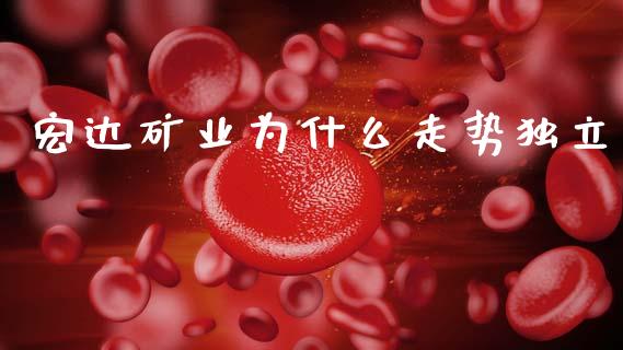 宏达矿业为什么走势独立_https://cj002.lansai.wang_股市问答_第1张