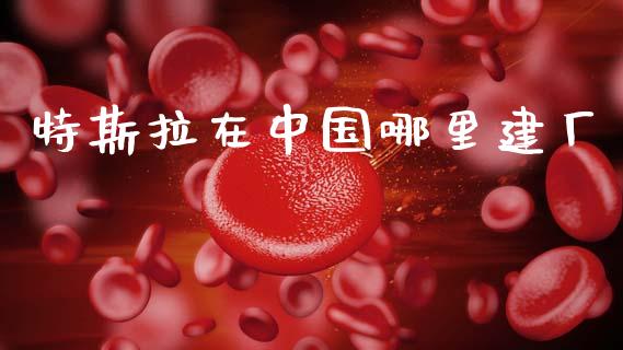特斯拉在中国哪里建厂_https://cj002.lansai.wang_财经问答_第1张