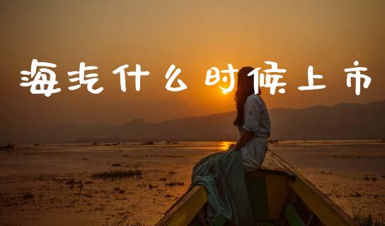 海汽什么时候上市_https://cj002.lansai.wang_财经百问_第1张