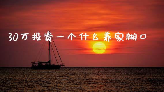 30万投资一个什么养家糊口_https://cj002.lansai.wang_金融问答_第1张