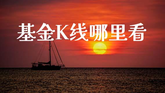 基金K线哪里看_https://cj002.lansai.wang_理财问答_第1张