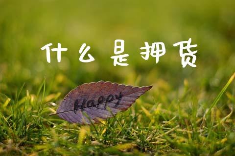 什么是押货_理财问答_第1张_财经百问网 什么是押货_https://cj002.lansai.wang_理财问答_第1张