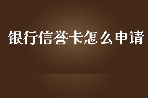 银行信誉卡怎么申请_https://cj002.lansai.wang_金融问答_第1张