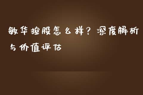 敏华控股怎么样？深度解析与价值评估_https://cj002.lansai.wang_股市问答_第1张