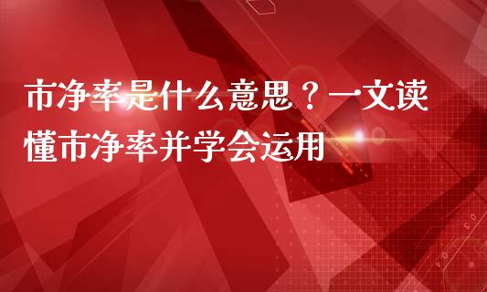 市净率是什么意思？一文读懂市净率并学会运用_https://cj002.lansai.wang_期货问答_第1张