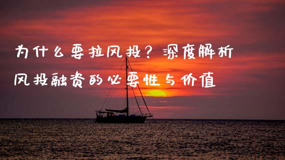 为什么要拉风投？深度解析风投融资的必要性与价值_https://cj002.lansai.wang_期货问答_第1张