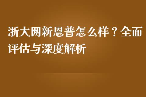 浙大网新恩普怎么样？全面评估与深度解析_https://cj002.lansai.wang_理财问答_第1张