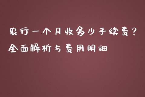 农行一个月收多少手续费？全面解析与费用明细_https://cj002.lansai.wang_期货问答_第1张