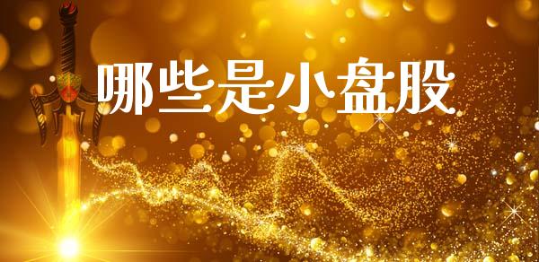 哪些是小盘股_https://cj002.lansai.wang_理财问答_第1张