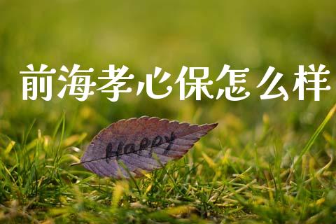 前海孝心保怎么样_https://cj002.lansai.wang_保险问答_第1张