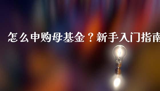 怎么申购母基金？新手入门指南_https://cj002.lansai.wang_金融问答_第1张