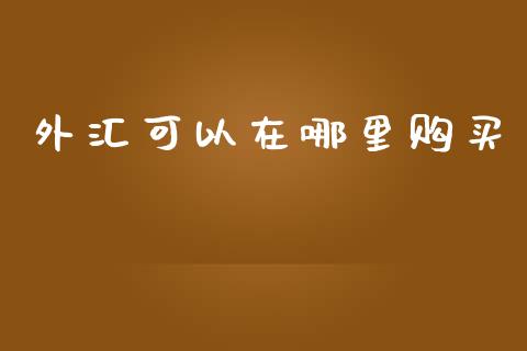 外汇可以在哪里购买_https://cj002.lansai.wang_财经问答_第1张