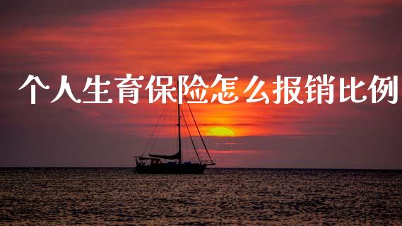 个人生育保险怎么报销比例_https://cj002.lansai.wang_保险问答_第1张