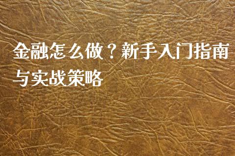 金融怎么做？新手入门指南与实战策略_https://cj002.lansai.wang_期货问答_第1张