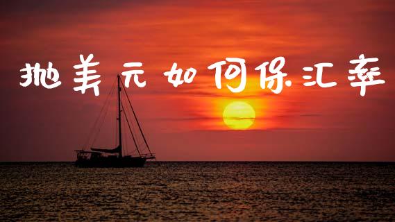 抛美元如何保汇率_https://cj002.lansai.wang_金融问答_第1张