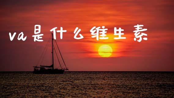 va是什么维生素_https://cj002.lansai.wang_会计问答_第1张