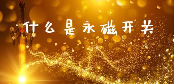 什么是永磁开关_https://cj002.lansai.wang_理财问答_第1张