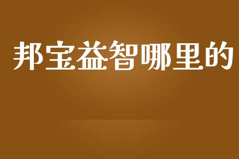邦宝益智哪里的_https://cj002.lansai.wang_股市问答_第1张
