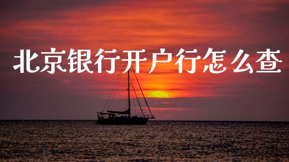 北京银行开户行怎么查_https://cj002.lansai.wang_金融问答_第1张
