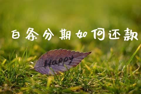 白条分期如何还款_财经问答_第1张_财经百问网 白条分期如何还款_https://cj002.lansai.wang_财经问答_第1张