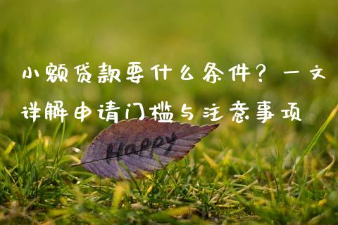 小额贷款要什么条件?一文详解申请门槛与注意事项_金融问答_第1张_财经百问网 小额贷款要什么条件?一文详解申请门槛与注意事项_https://cj002.lansai.wang_金融问答_第1张