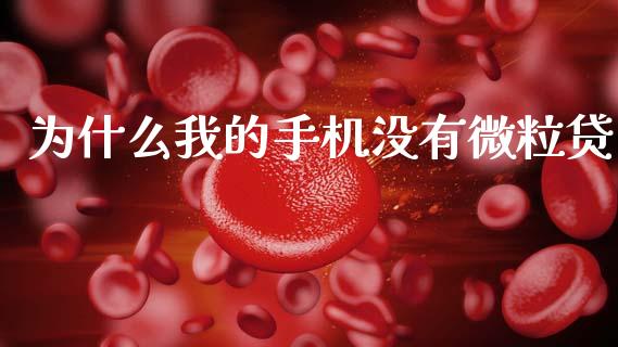 为什么我的手机没有微粒贷_期货问答_第1张_财经百问网 为什么我的手机没有微粒贷_https://cj002.lansai.wang_期货问答_第1张