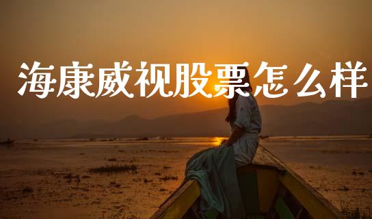 海康威视股票怎么样_https://cj002.lansai.wang_财经百问_第1张