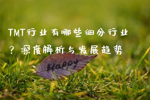 TMT行业有哪些细分行业？深度解析与发展趋势_https://cj002.lansai.wang_金融问答_第1张