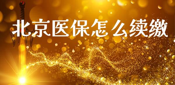 北京医保怎么续缴_https://cj002.lansai.wang_保险问答_第1张