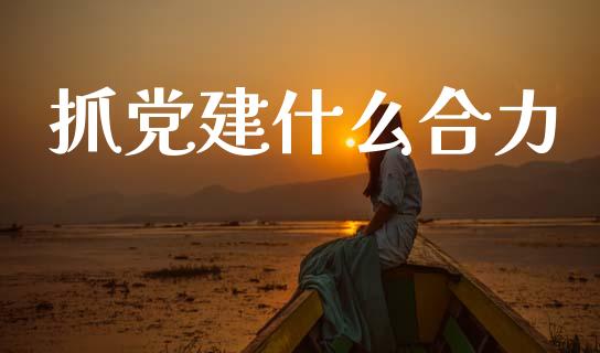 抓党建什么合力_https://cj002.lansai.wang_期货问答_第1张