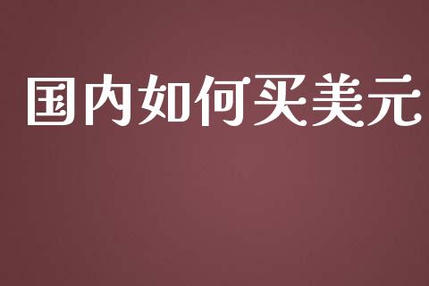 国内如何买美元_https://cj002.lansai.wang_财经问答_第1张