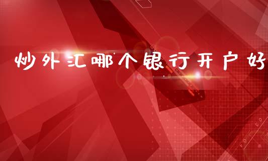 炒外汇哪个银行开户好_https://cj002.lansai.wang_财经问答_第1张