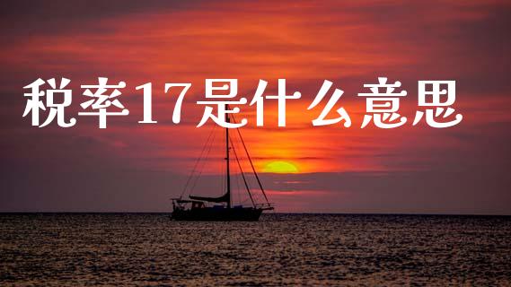 税率17是什么意思_https://cj002.lansai.wang_会计问答_第1张