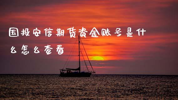 国投安信期货资金账号是什么怎么查看_https://cj002.lansai.wang_期货问答_第1张