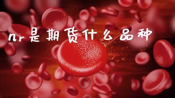 nr是期货什么品种_https://cj002.lansai.wang_财经百问_第1张