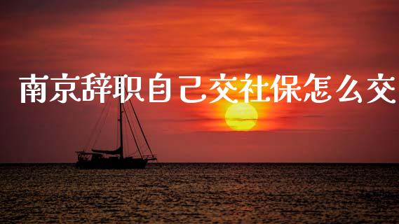 南京辞职自己交社保怎么交_https://cj002.lansai.wang_保险问答_第1张