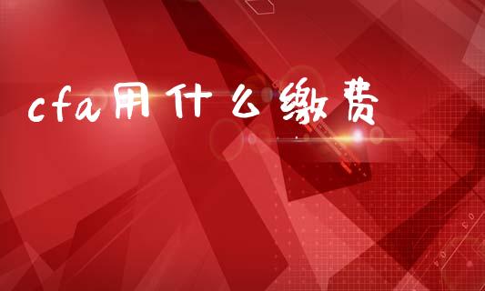 cfa用什么缴费_https://cj002.lansai.wang_会计问答_第1张