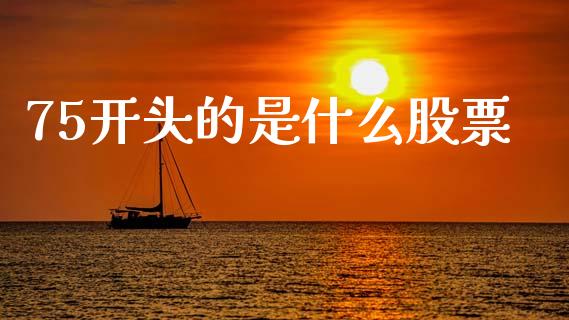 75开头的是什么股票_https://cj002.lansai.wang_财经问答_第1张