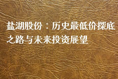 盐湖股份：历史最低价探底之路与未来投资展望_https://cj002.lansai.wang_股市问答_第1张