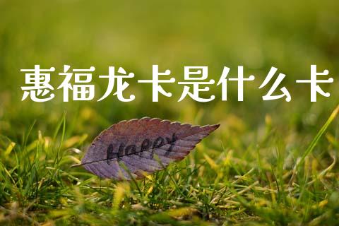 惠福龙卡是什么卡_股市问答_第1张_财经百问网 惠福龙卡是什么卡_https://cj002.lansai.wang_股市问答_第1张