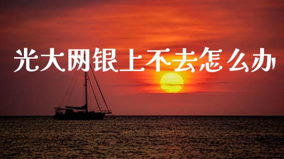 光大网银上不去怎么办_https://cj002.lansai.wang_金融问答_第1张