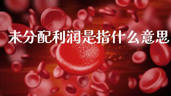 未分配利润是指什么意思_https://cj002.lansai.wang_会计问答_第1张