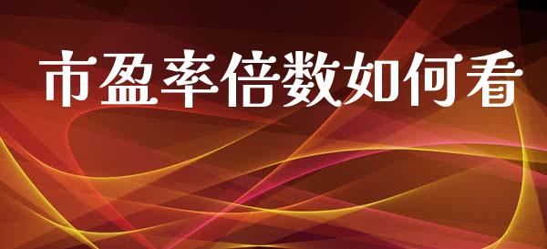市盈率倍数如何看_https://cj002.lansai.wang_理财问答_第1张