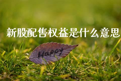 新股配售权益是什么意思_https://cj002.lansai.wang_金融问答_第1张